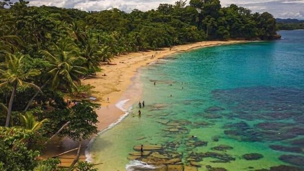 Una spiaggia tropicale con acque cristalline turchesi, una riva sabbiosa e fitte palme.
