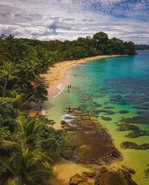 A tropical beach with clear turquoise waters, a sandy shore, and dense palm trees. - Beachfront apartment Punta uva  (Cahuita)