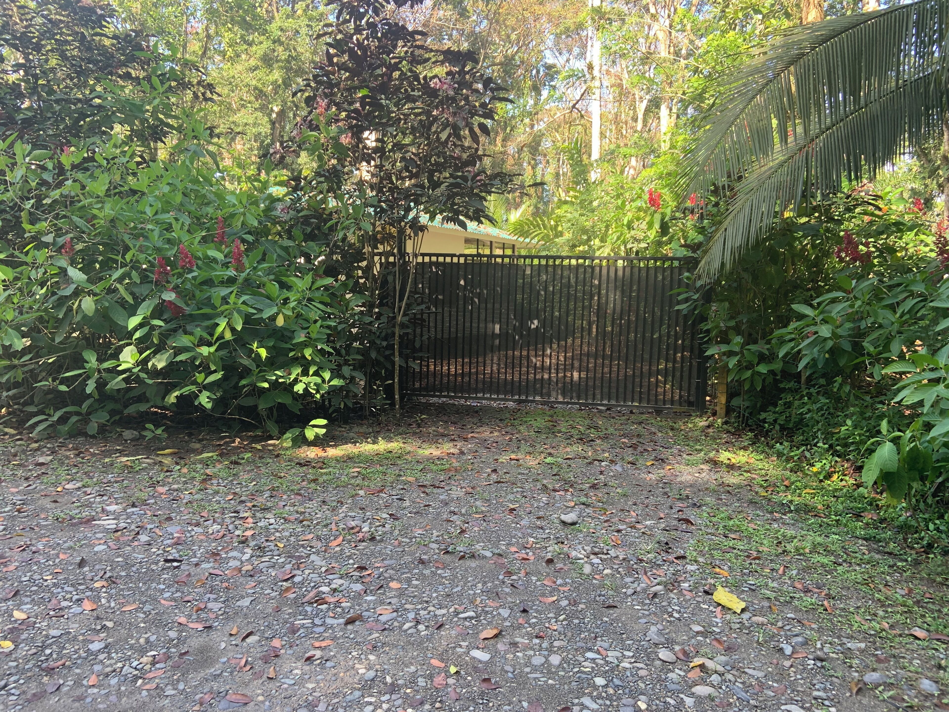 A gravel path leading to a black metal gate surrounded by lush greenery and trees.