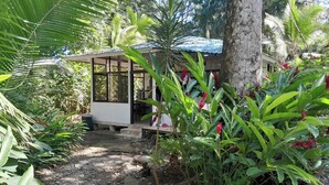Un giardino tropicale con una piccola costruzione in legno, un vialetto sterrato e diverse piante verdi.