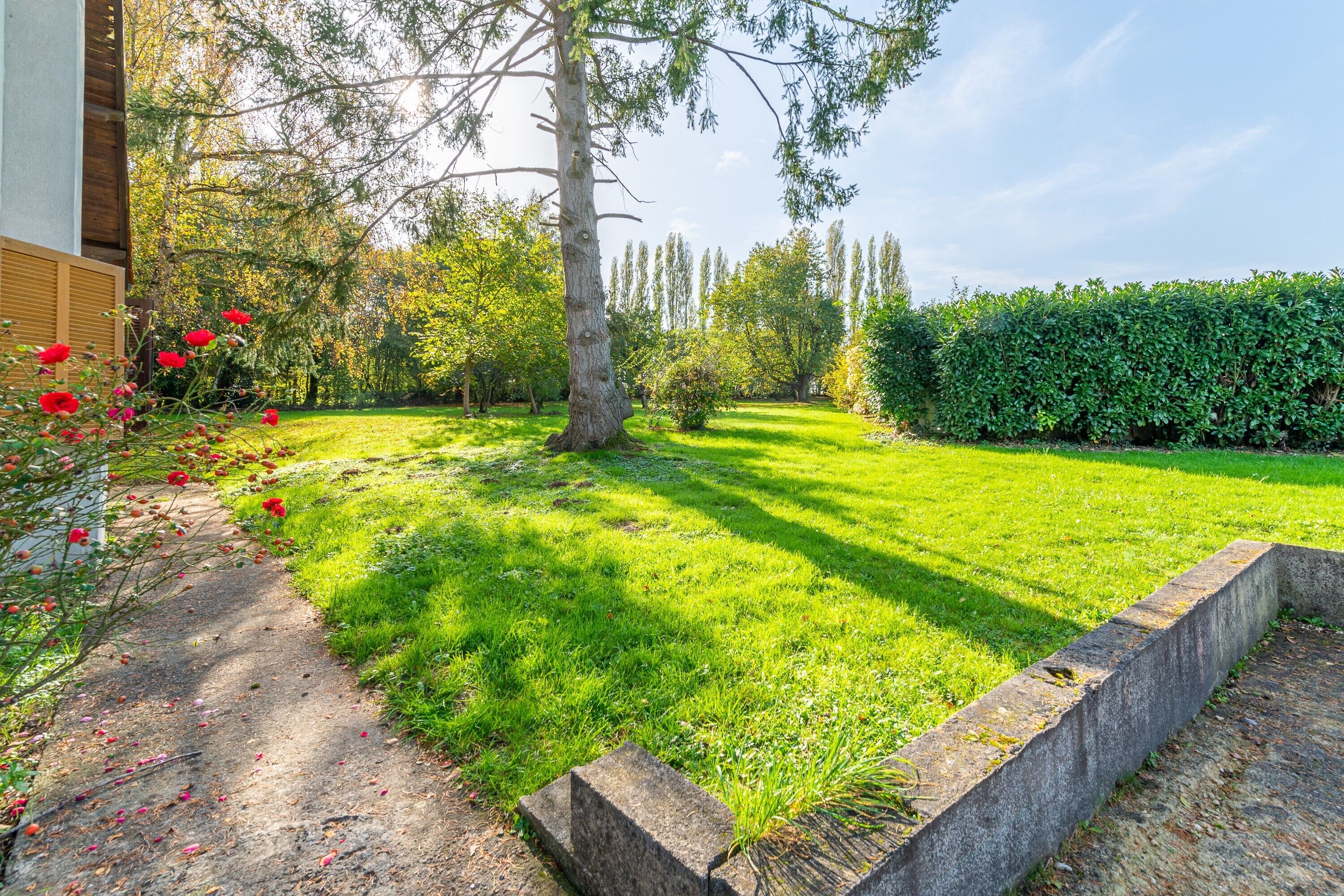 Een verzorgde tuin met een duidelijk pad, een haag en diverse bomen.