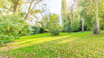 Un parc avec des arbres, de l’herbe et des feuilles parsemées.