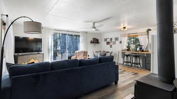 Smart TV, fireplace, books