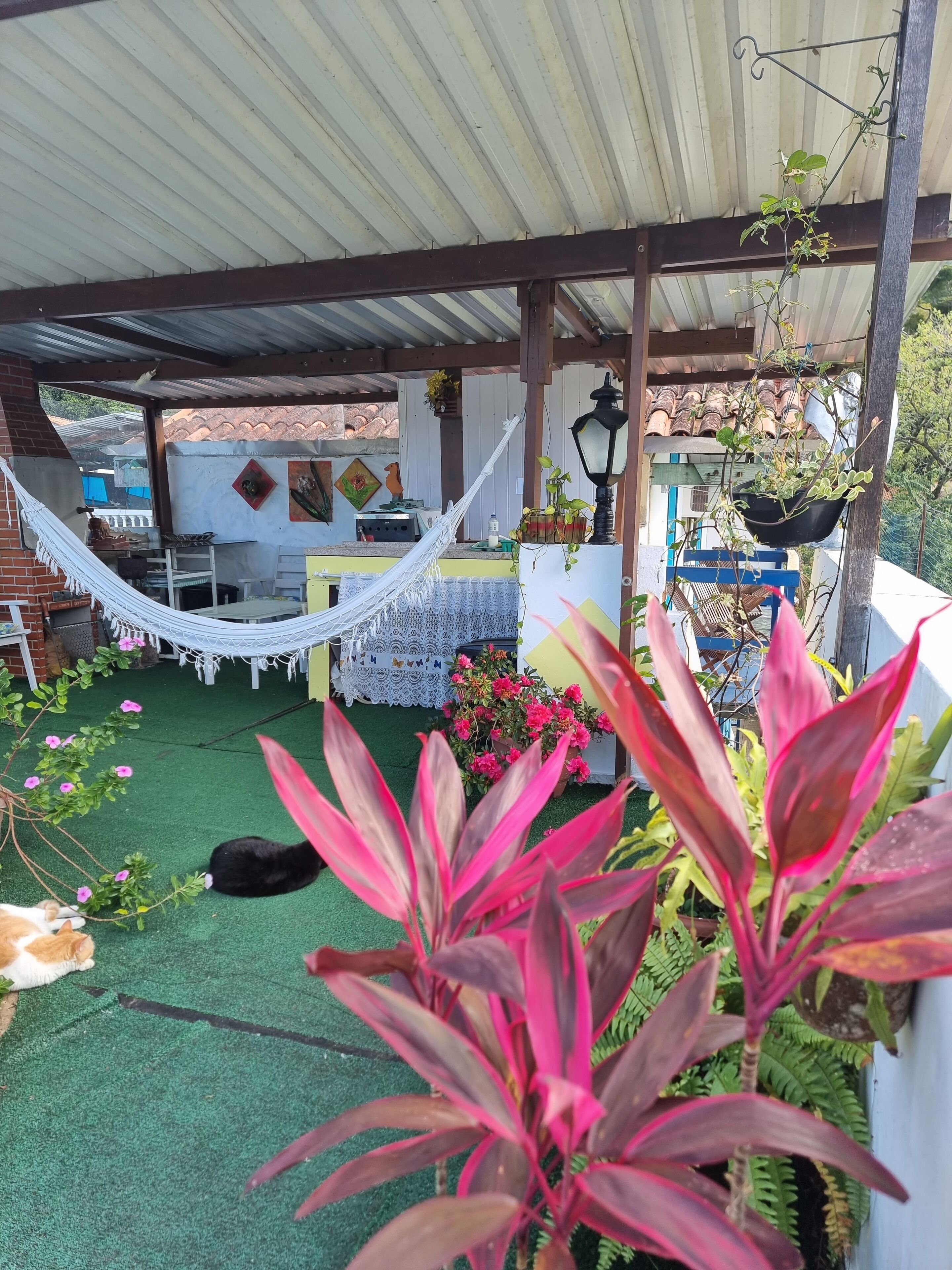 A covered outdoor area with a hammock, a table with chairs, and various potted plants.