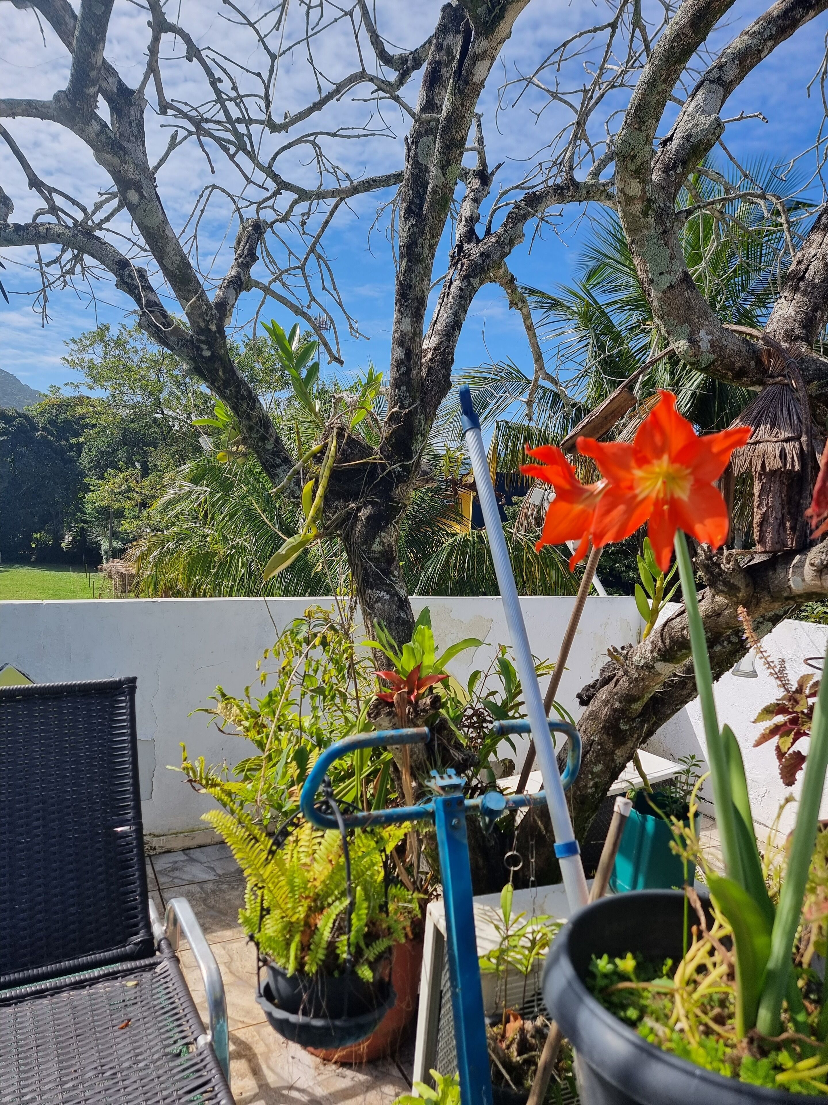 Solterrasse