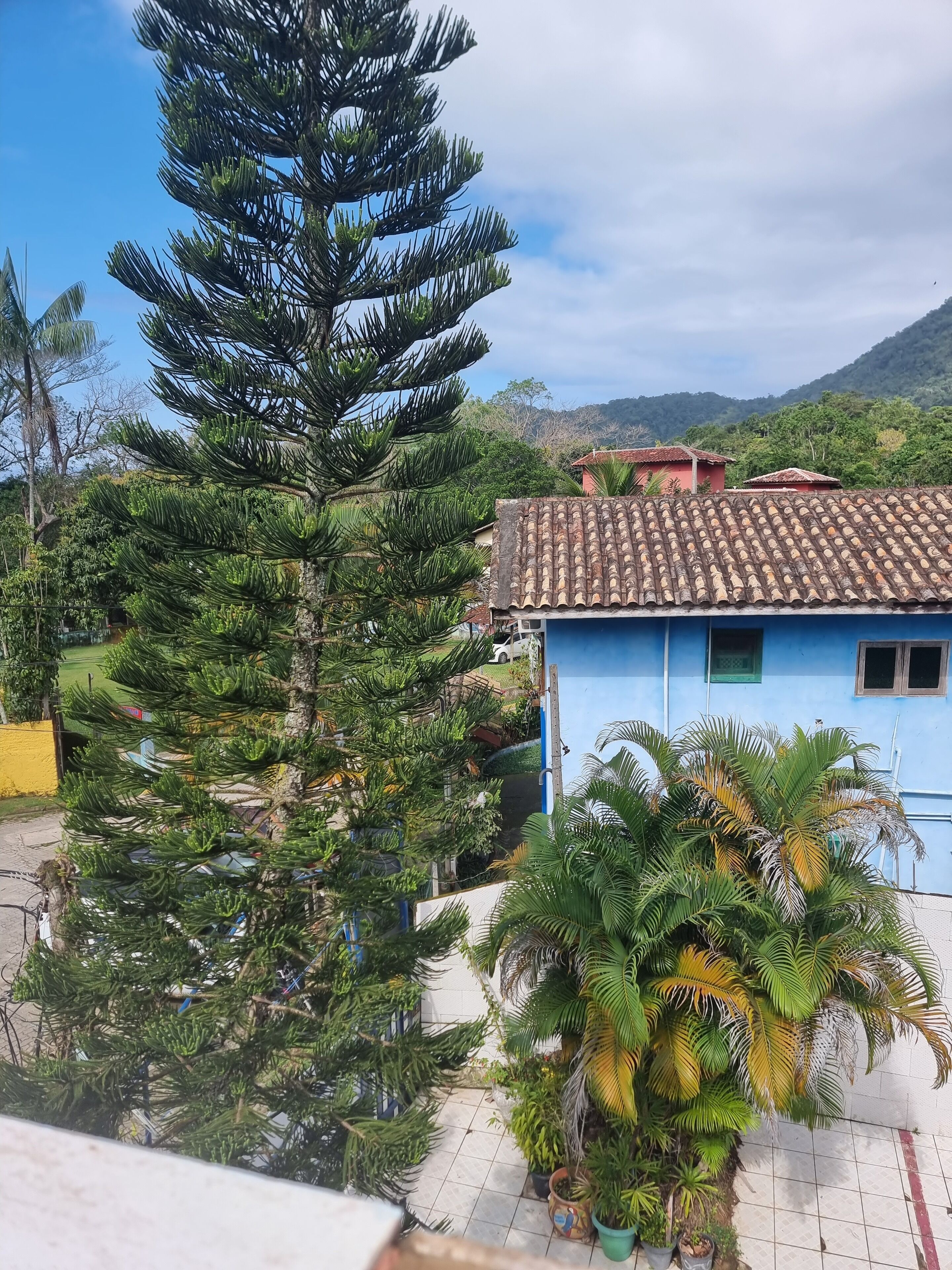 Un barrio residencial con una casa azul, un árbol grande y una montaña al fondo.