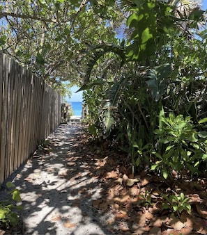 Property grounds - Art on the Beach Paradise 200ft from Beach! (Vero Beach)