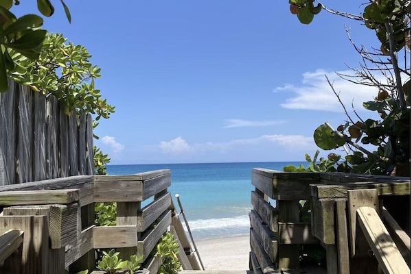 Gandules de platja i tovalloles de platja