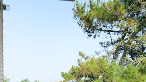 Une terrasse avec une table et des chaises, un sol carrelé et une vue sur les arbres et les bâtiments en arrière-plan.