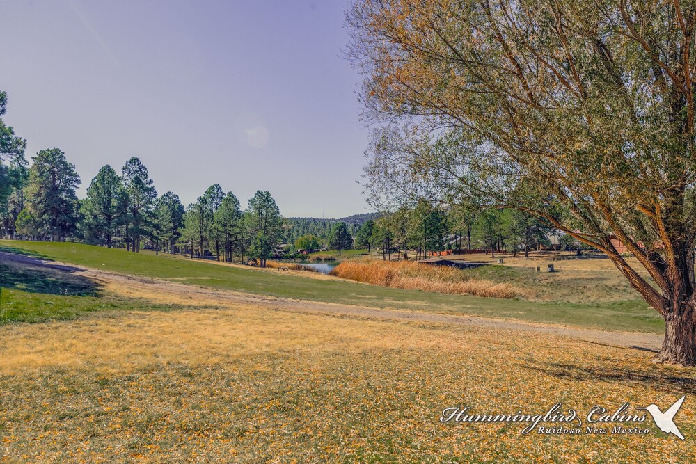 Bogie Bungalow Pet friendly! On Golf course with 5 min Walk to Midtown