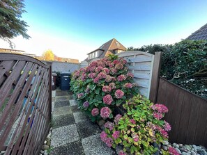 Oklassificerad bild, 3 av 23, knapp