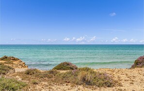 Eine Küstenlandschaft mit blauem Himmel, ruhiger See und spärlicher Vegetation.