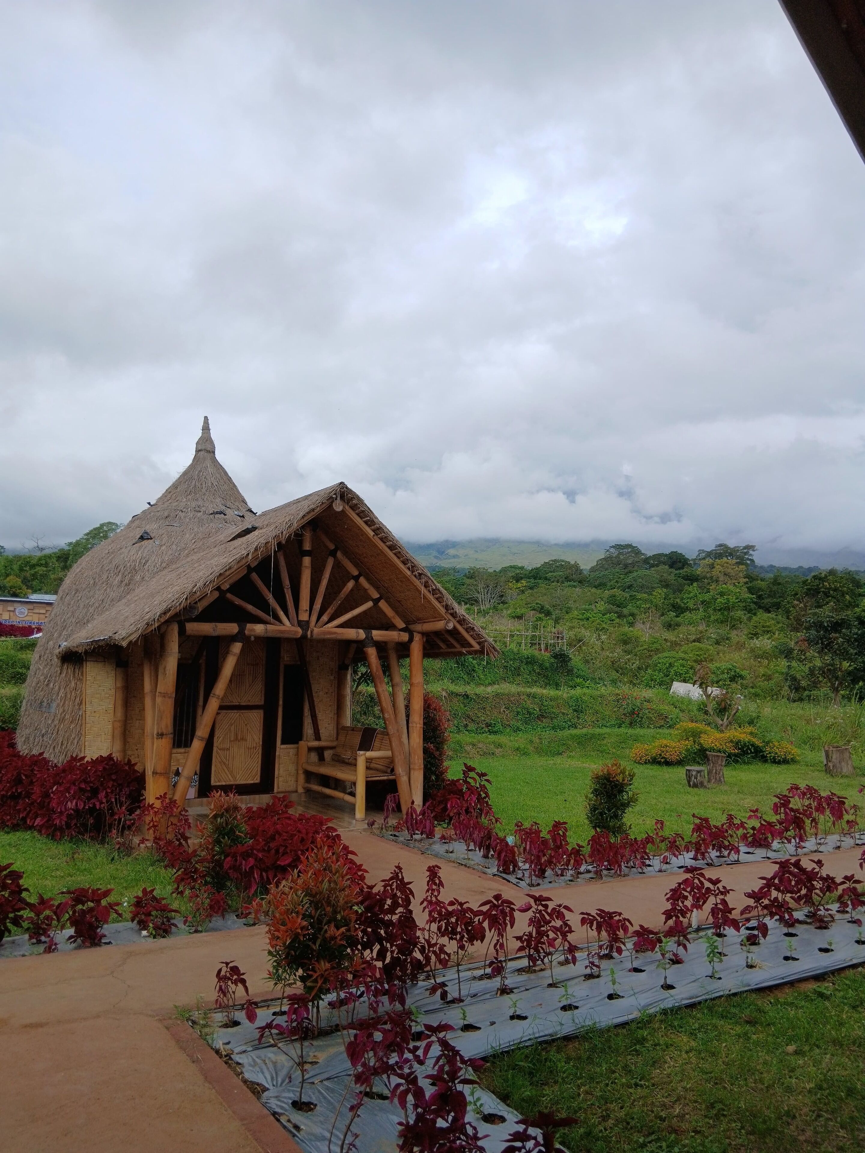 Habitación doble superior | Wifi gratis 