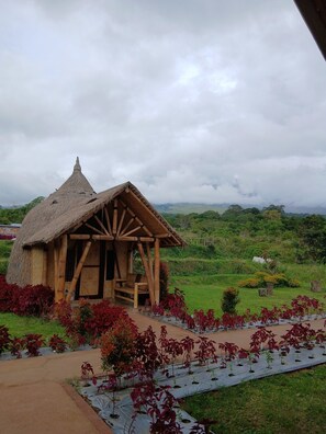 高級雙人房 | 免費無線上網