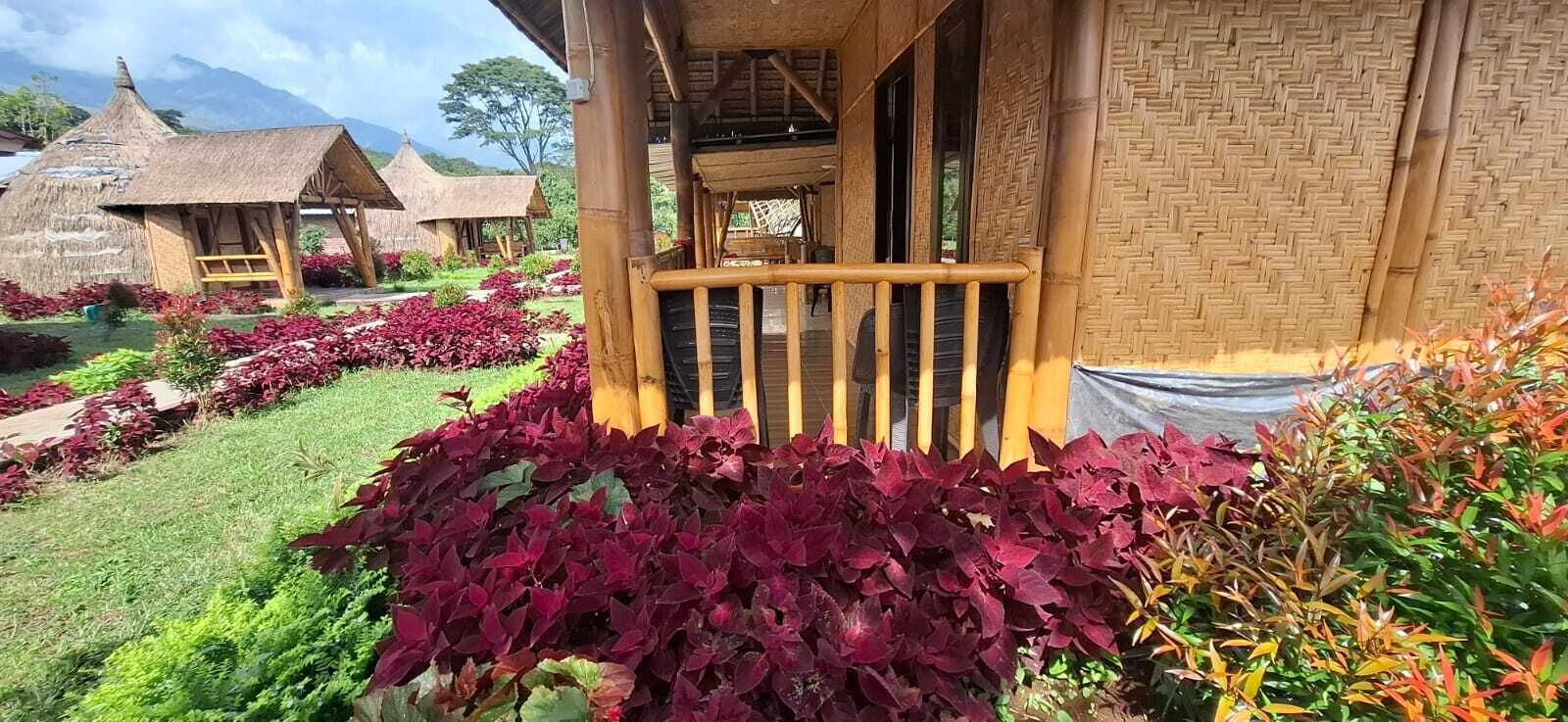 A traditional thatched-roof structure with a wooden porch and a garden with red foliage.