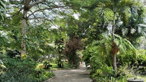 A pathway flanked by lush greenery and a variety of trees, leading towards a distant structure. - The Garden Family Guest House powered by Cocotel. (Ciawi)