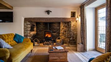 Una televisión, una chimenea