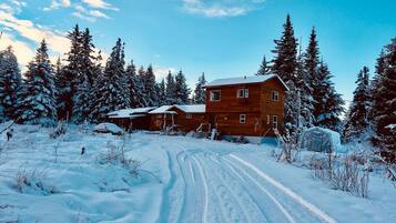 Cabin, 1 Bedroom, Mountain View | Exterior