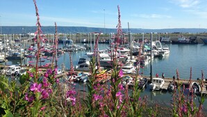 Un port de plaisance où sont amarrés des bateaux, entouré de verdure et avec des collines en arrière-plan.