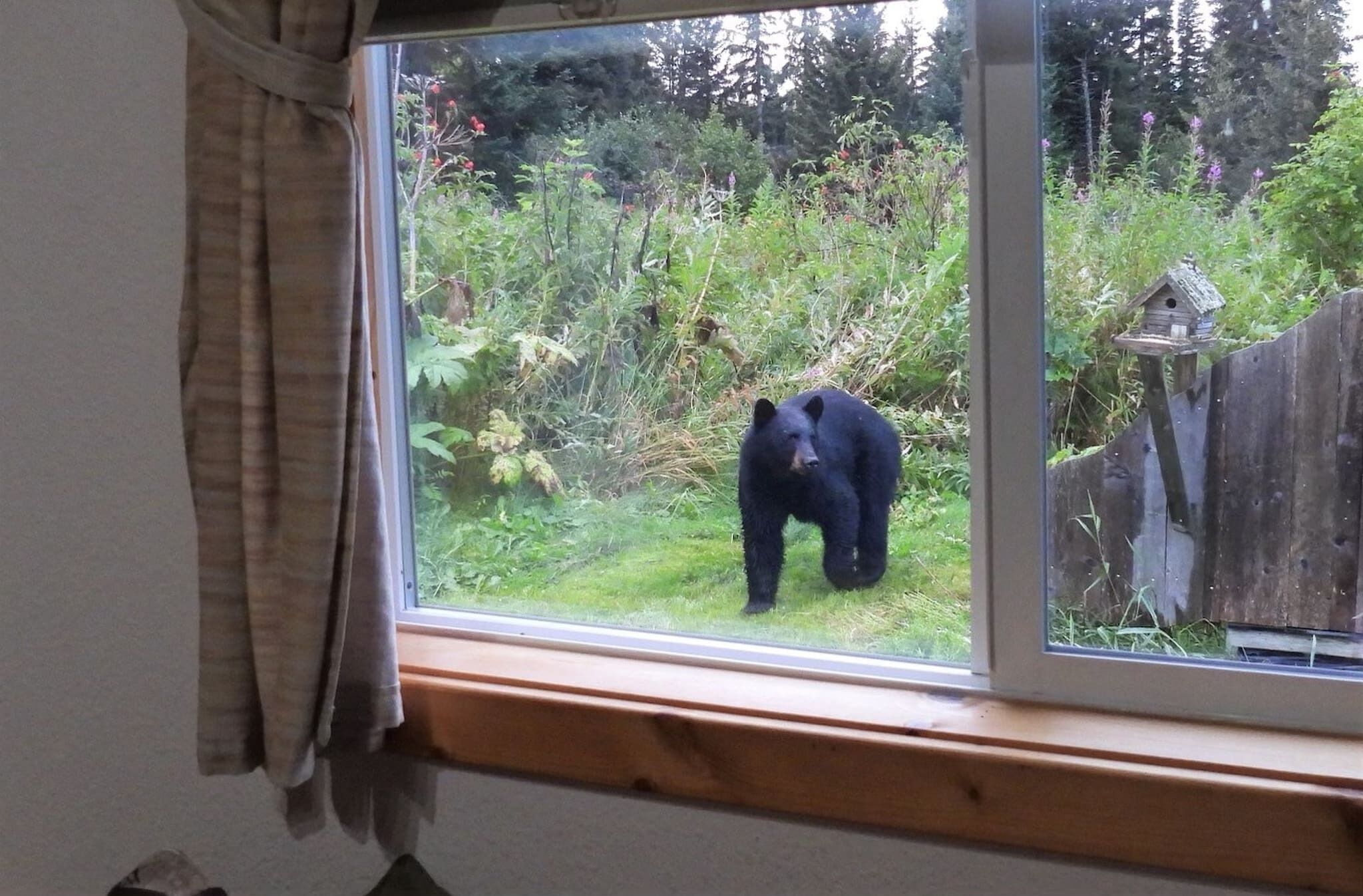 小屋, 1 間臥室, 山景 | 住宿內部