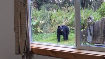 Cabin, 1 Bedroom, Mountain View | Interior