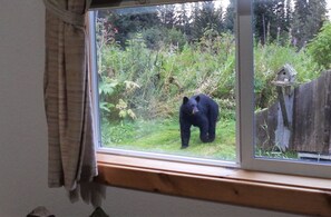 Cabin, 1 Bedroom, Mountain View | Interior - Blue Spruce Apartment (Homer)