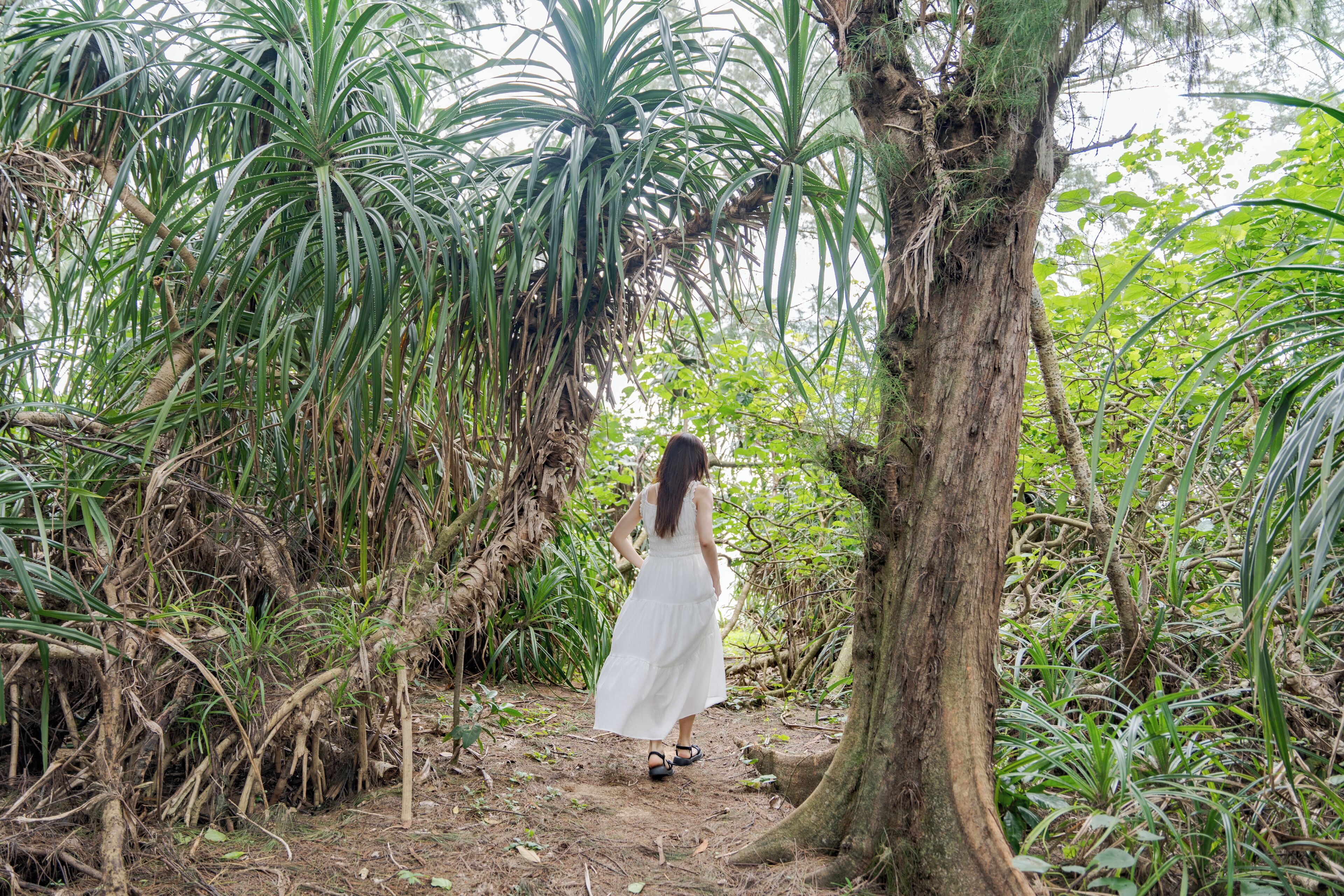 Bãi biển