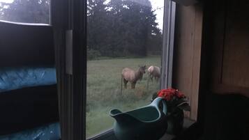 Vista a través de una ventana de una habitación con paredes de madera, un jarro verde y un jarrón con flores rojas sobre una repisa.