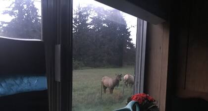 meet the 20 character requirement