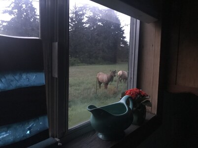 meet the 20 character requirement