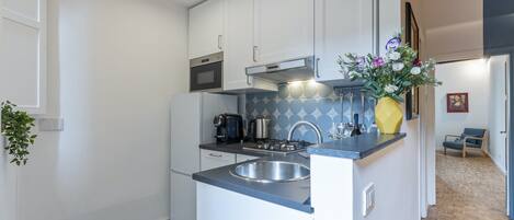 Réfrigérateur, micro-ondes, plaque de cuisson, lave-vaisselle