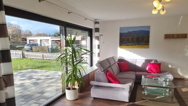 A modern living room with a sofa, a glass coffee table, and a potted plant.