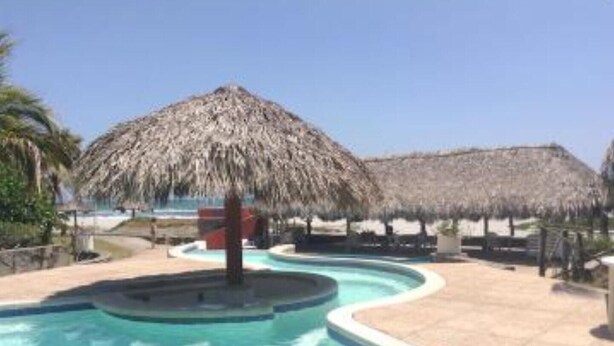 A pool area with a thatched roof structure, a palm tree, and a clear blue pool.
