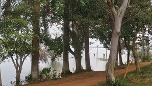 A dirt path leading to a body of water surrounded by trees. - Dream Day Cottages (Kampala)