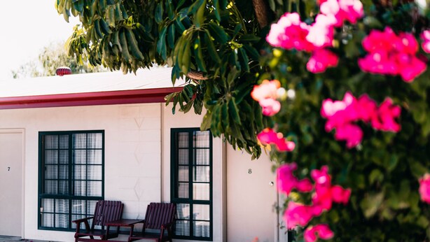 A building with two windows and a door, a bench outside, and pink flowers in the foreground. - Motel Poinsettia (Port Augusta West)