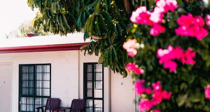 Motel Poinsettia