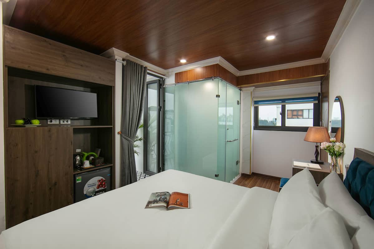 A bedroom with a bed, a TV, a wardrobe, a desk, and a window.
