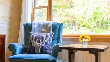 TV connectée, cheminée