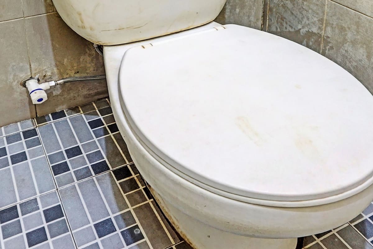 economy single room | bathroom | shower, soap