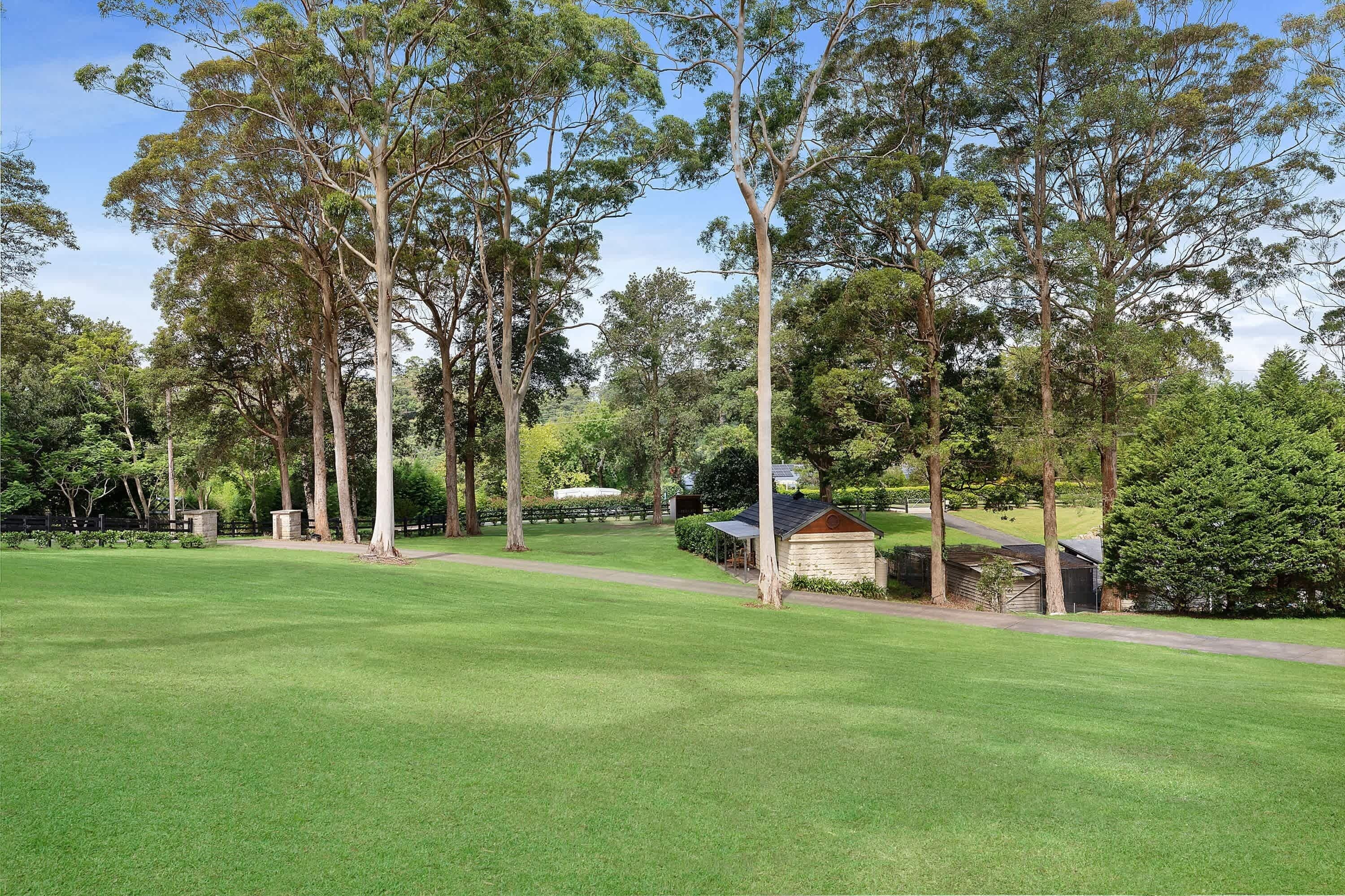 A grassy field with tall trees and a small wooden structure.