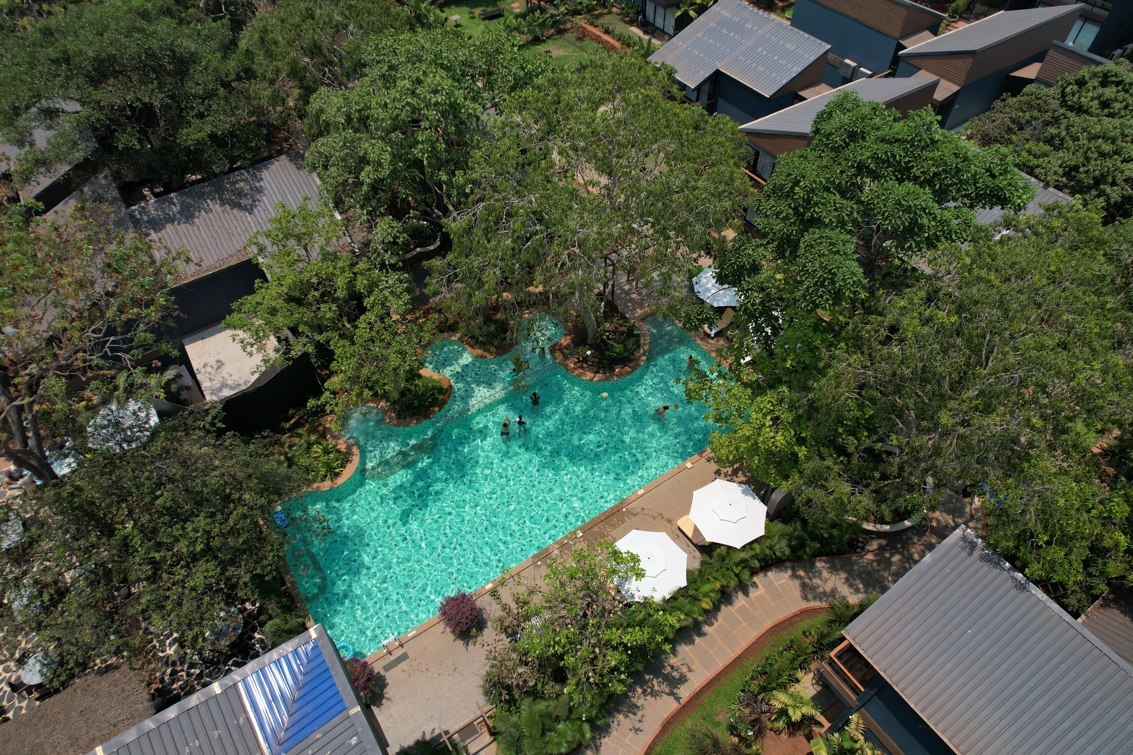 An aerial view of a residential area with a swimming pool surrounded by trees and houses.
