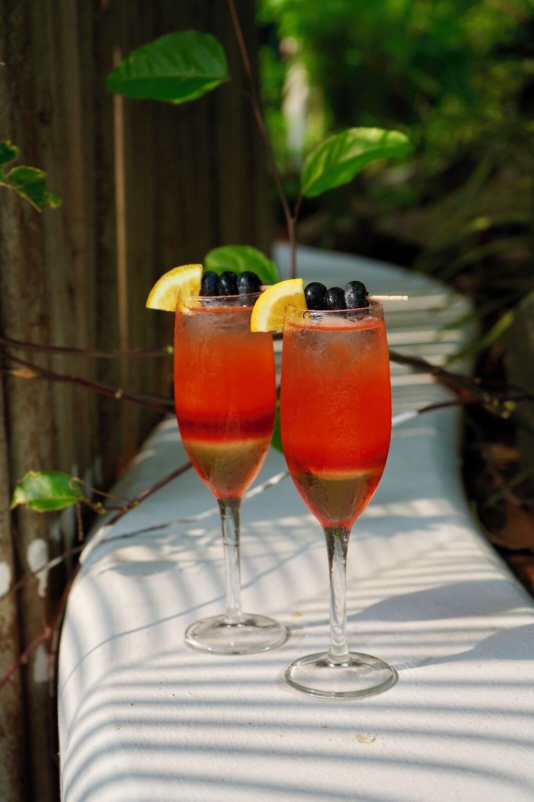 Two glasses of red beverage with blueberries and lemon slices on a white surface outdoors.