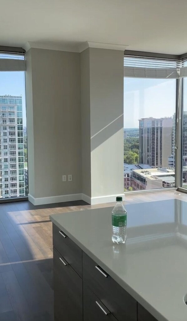Interior - 1 Bed, 1 Bath Luxury High Rise Condo. Sleeps 4 (Atlanta)