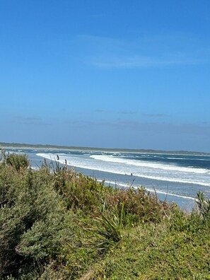 Un paisaje costero con olas rompiendo sobre la orilla, vegetación en primer plano y un cielo azul despejado.