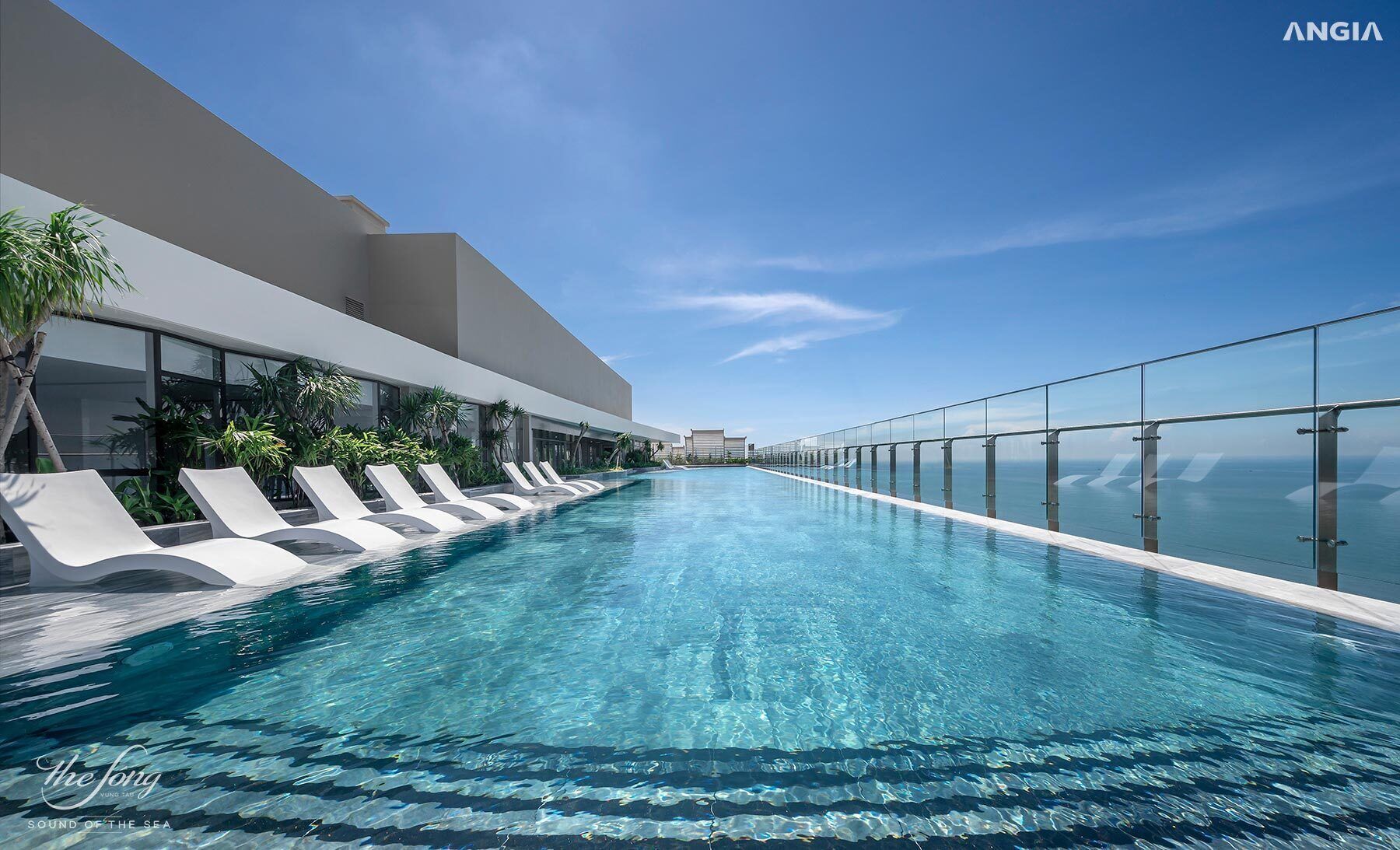 Free rooftop swimming pool 