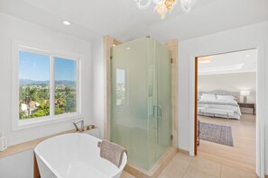 Shower, hair dryer, shampoo