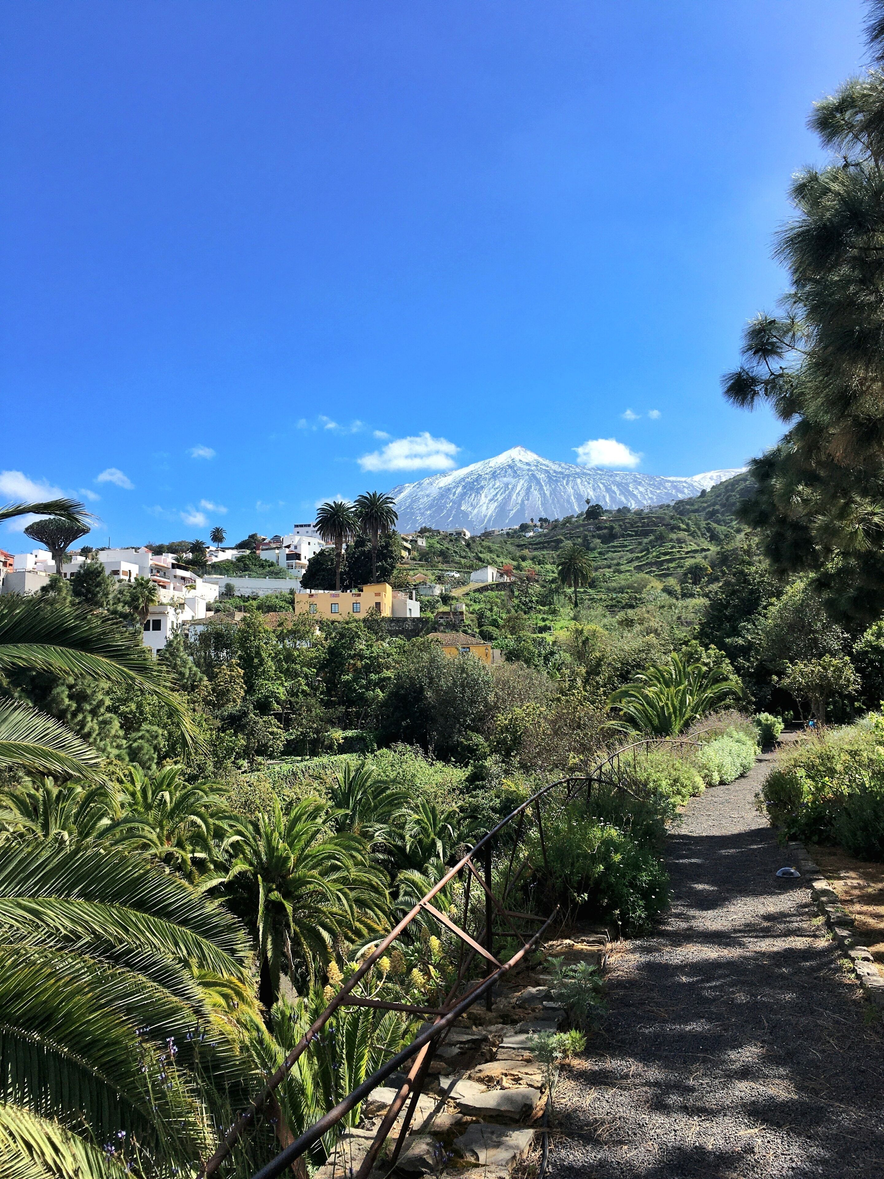 التنزّه سيراً على الأقدام