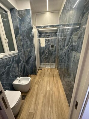 Douche, séchoir à cheveux, bidet, serviettes fournies