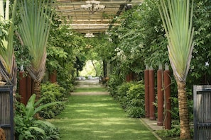 A garden pathway with a pergola, lush greenery, and a clear view of the garden.