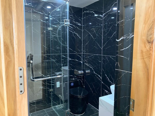 Shower, hair dryer, bidet, towels